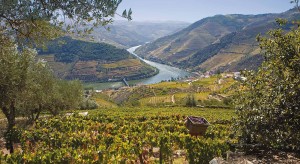 Douro River Valley - Europe Balcony