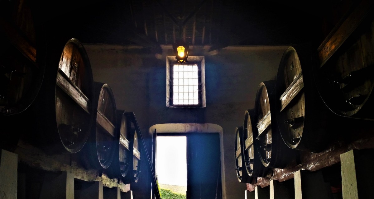 Medieval Tastings Wine Tours Portugal