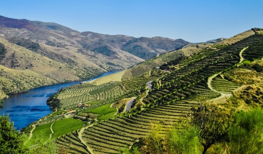 Douro River Valley
